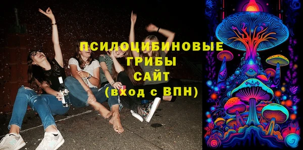 молекула духа Арсеньев