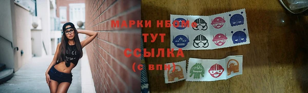 молекула духа Арсеньев
