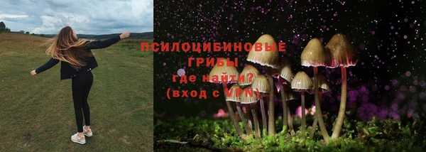 молекула духа Арсеньев