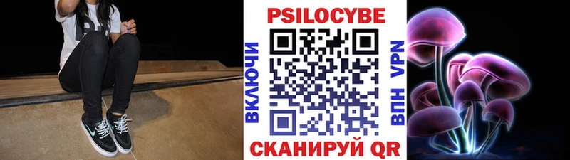 Галлюциногенные грибы Psilocybine cubensis  Купить где  Нея 